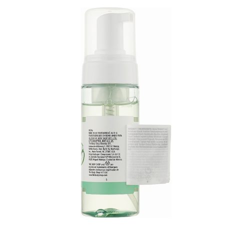 فوم شستشوی صورت آلوئه ورا بادی شاپ The Body Shop Aloe Foaming Wash 150ml