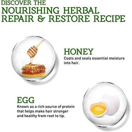 شامپو ترمیم کننده ضد وز ضد موخوره عسل و تخم مرغ واتیکا Vatika Honey and Egg Repair and Restore Shampoo