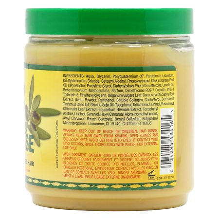 ماسک مایونز موهای فر آفریکاز بست Africas Best Orig Hair Mayonnaise Mask 426g