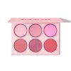 پالت رژگونه 6 رنگ شیگلم SHEGLAM FLORAL FLUSH BLUSH PALETTE BLUSHING BOUQUET