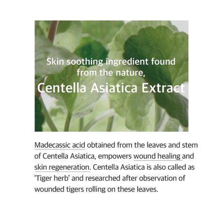 اسنس تقویت کننده و تسکین دهنده سنتلا آسیاتیکا میکسون MIXSOON Soondy Centella Asiatica Essence