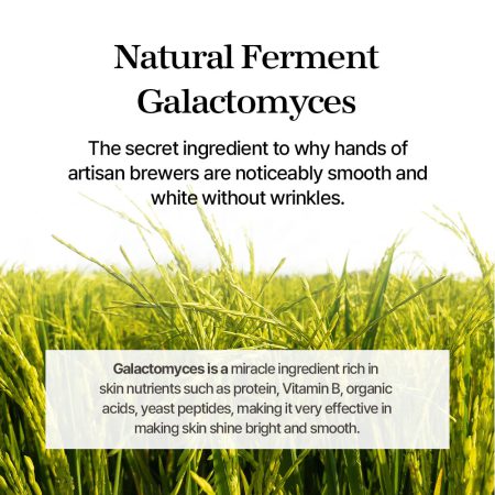 اسنس روشن کننده گالاکتومایسس میکسون MIXSOON Galactomyces Ferment Essence