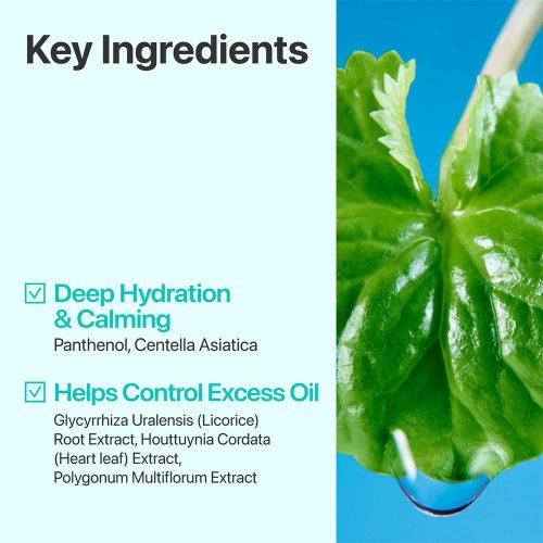 تونر شماره 1 نامبوزین تسکین دهنده پوست Numbuzin No.1 Pure-full Calming Herb Toner