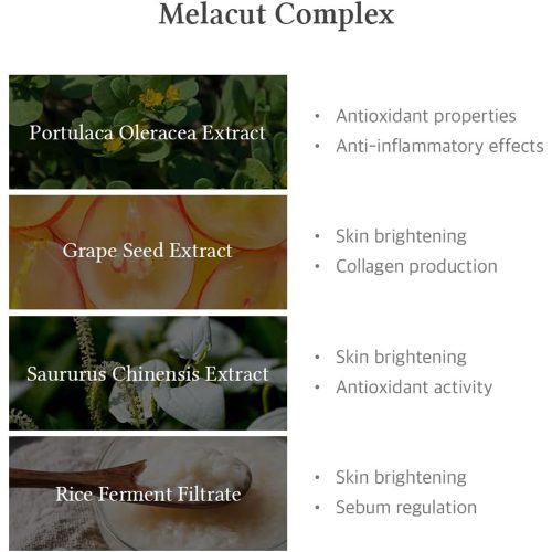 سرم روشن کننده نیاسینامید 15 درصد دکتر التیا Dr. Althea 15% Niacinamide Purity Serum
