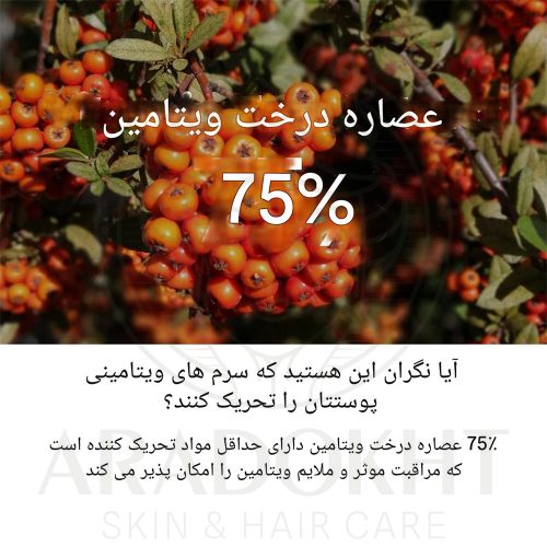 سرم ضد لک و قرمزی گودبای بلمیش شماره 5 نامبوزین Numbuzin No.5 Goodbye Blemish Serum