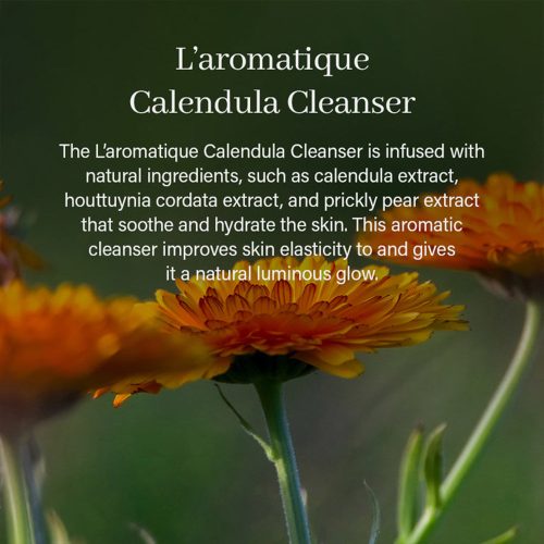 پاک کننده عمقی موچی کالاندولا آرنسیا تسکین دهنده و مرطوب کننده پوست ARENCIA L'aromatique Calendula Cleanser