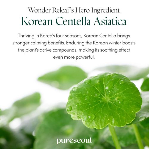 کرم ترمیم کننده و مرطوب کننده بدون عطر سنتلا پیوریتو Purito SEOUL Centella Unscented Recovery Cream