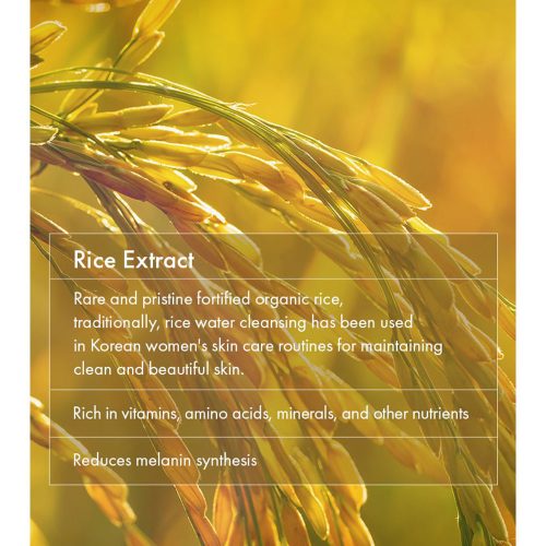 آمپول روشن کننده نیاسینامید و برنج دکتر سراکل Dr. Ceuracle Vegan Niacin & Rice Ampoule