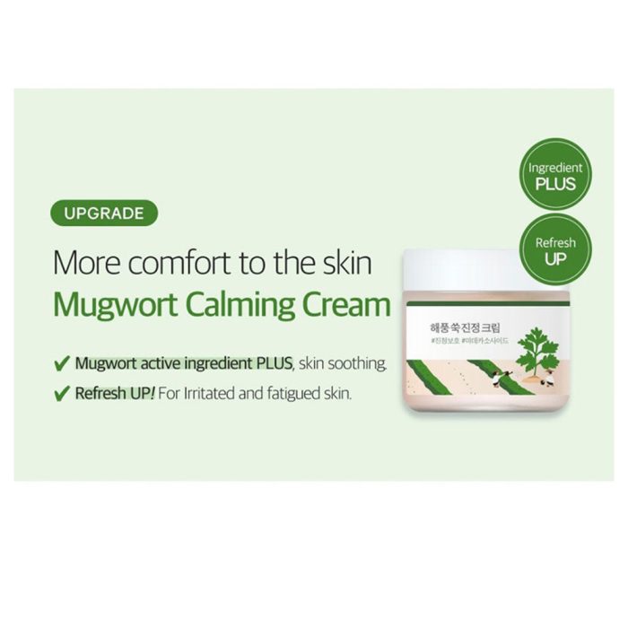 کرم مرطوب کننده و تسکین دهنده ماگورت راندلب Round Lab Mugwort Calming Cream