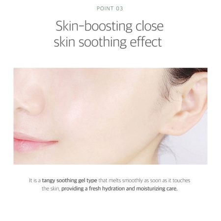 کرم مرطوب کننده و تسکین دهنده ماگورت راندلب Round Lab Mugwort Calming Cream