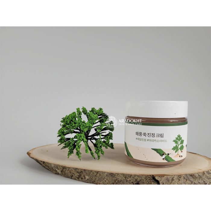 کرم مرطوب کننده و تسکین دهنده ماگورت راندلب Round Lab Mugwort Calming Cream