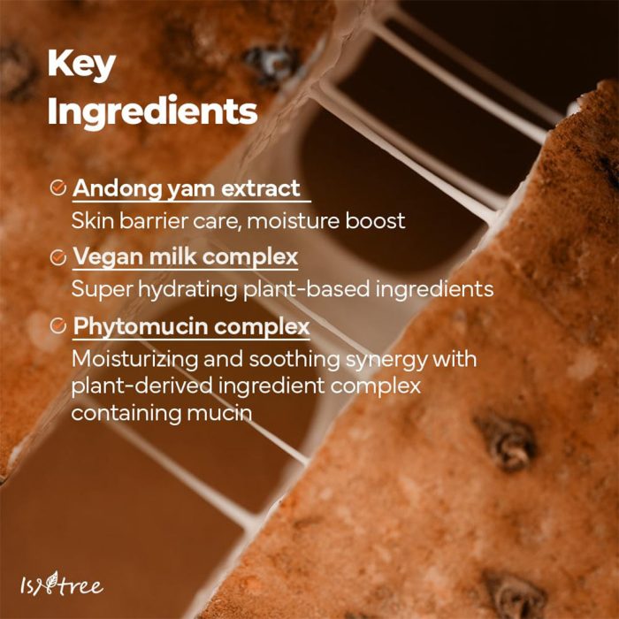 شوینده یام روت ایزنتری Isntree Yam Root Vegan Milk Cleanser