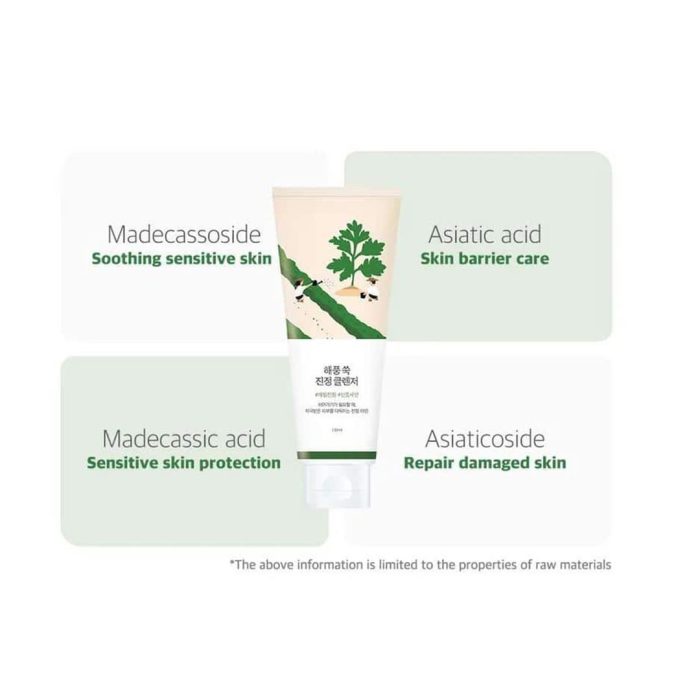 فوم شستشوی تسکین دهنده ماگورت راندلب Round Lab Mugwort Calming Cleanser