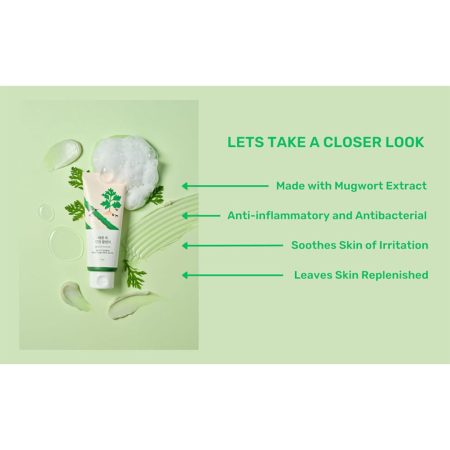 فوم شستشوی تسکین دهنده ماگورت راندلب Round Lab Mugwort Calming Cleanser