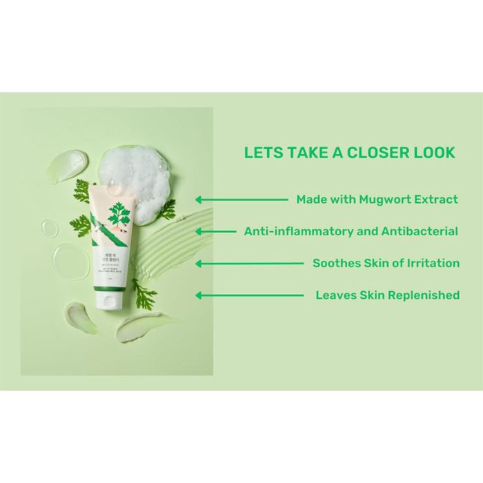 فوم شستشوی تسکین دهنده ماگورت راندلب Round Lab Mugwort Calming Cleanser