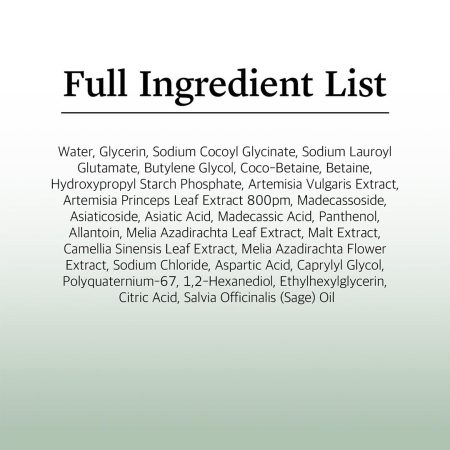 فوم شستشوی تسکین دهنده ماگورت راندلب Round Lab Mugwort Calming Cleanser
