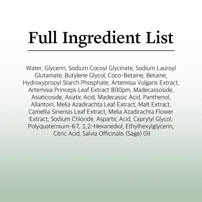 فوم شستشوی تسکین دهنده ماگورت راندلب Round Lab Mugwort Calming Cleanser