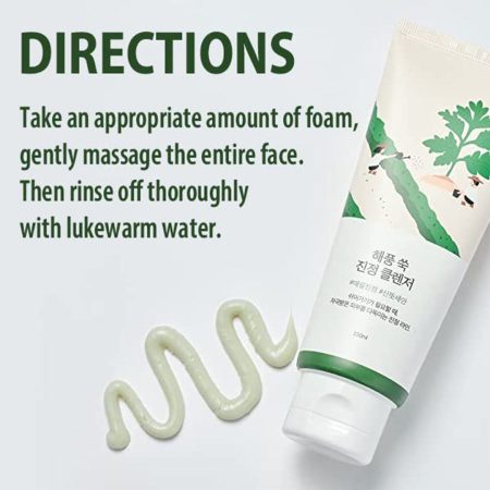 فوم شستشوی تسکین دهنده ماگورت راندلب Round Lab Mugwort Calming Cleanser