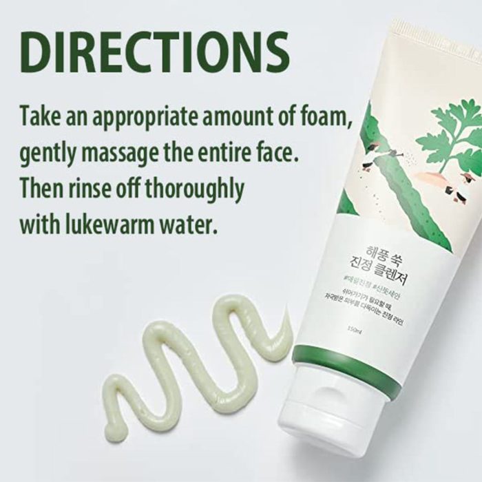 فوم شستشوی تسکین دهنده ماگورت راندلب Round Lab Mugwort Calming Cleanser