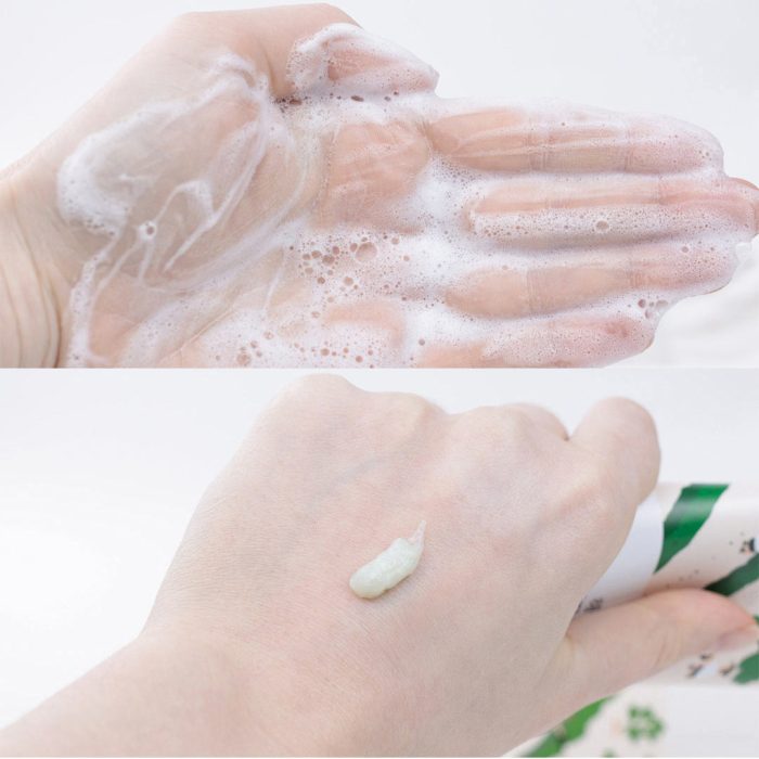 فوم شستشوی تسکین دهنده ماگورت راندلب Round Lab Mugwort Calming Cleanser - Image 6