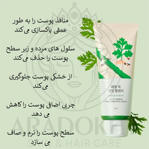 فوم شستشوی تسکین دهنده ماگورت راندلب Round Lab Mugwort Calming Cleanser