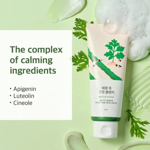 فوم شستشوی تسکین دهنده ماگورت راندلب Round Lab Mugwort Calming Cleanser