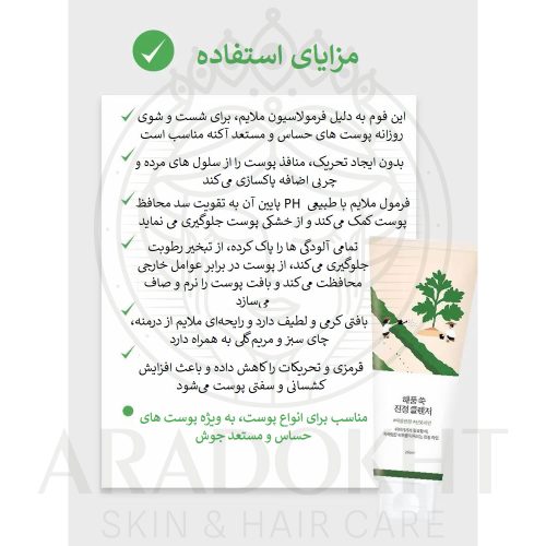 فوم شستشوی تسکین دهنده ماگورت راندلب Round Lab Mugwort Calming Cleanser
