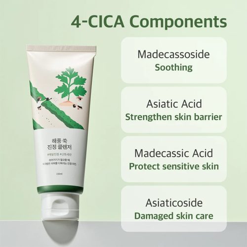 فوم شستشوی تسکین دهنده ماگورت راندلب Round Lab Mugwort Calming Cleanser