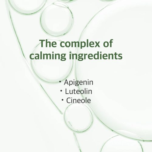 فوم شستشوی تسکین دهنده ماگورت راندلب Round Lab Mugwort Calming Cleanser