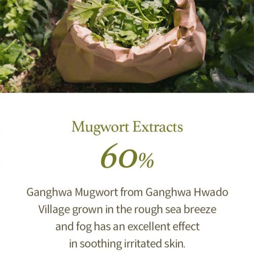 ژل شوینده ماگورت آیم فرام ضدالتهاب و تسکین دهنده قوی پوست I'm From Mugwort Gel Cleanser