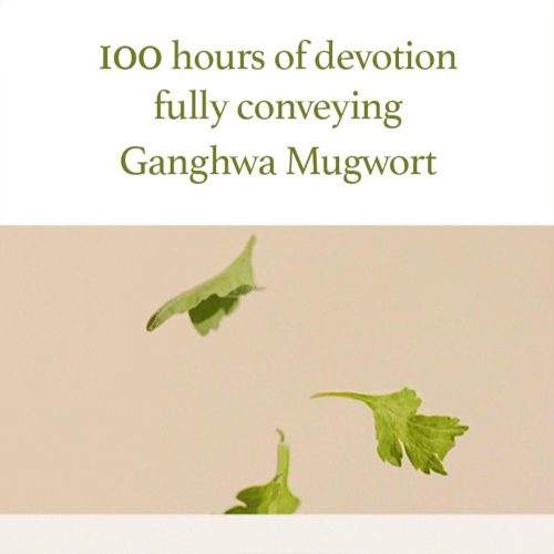 ژل شوینده ماگورت آیم فرام ضدالتهاب و تسکین دهنده قوی پوست I'm From Mugwort Gel Cleanser