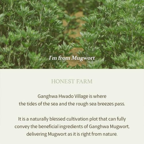 ژل شوینده ماگورت آیم فرام ضدالتهاب و تسکین دهنده قوی پوست I'm From Mugwort Gel Cleanser