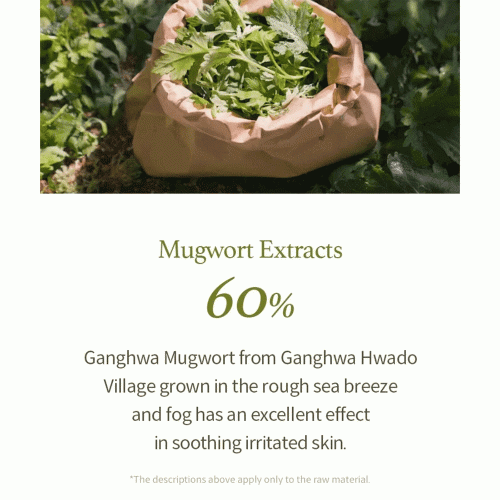 ژل شوینده ماگورت آیم فرام ضدالتهاب و تسکین دهنده قوی پوست I'm From Mugwort Gel Cleanser