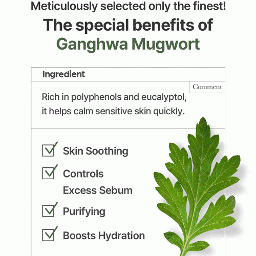 ژل شوینده ماگورت آیم فرام ضدالتهاب و تسکین دهنده قوی پوست I'm From Mugwort Gel Cleanser