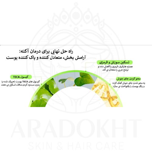 سرم کپسولی هارتلیف TECA ابیب تسکین دهنده و روشن کننده پوست Abib Heartleaf TECA capsule serum Calming drop