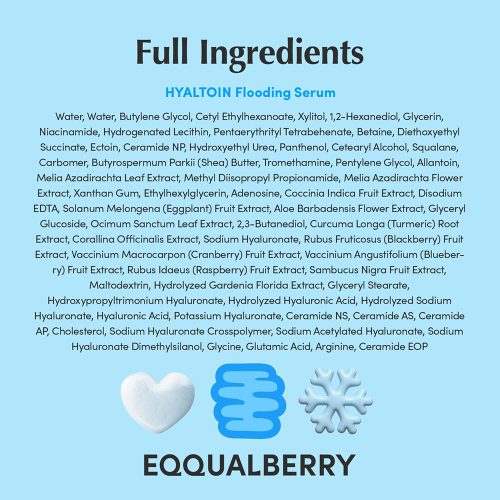 سرم آبرسان و تسکین دهنده هیالتوئین اکوال بری EQQUALBERRY Hyaltoin Flooding Serum