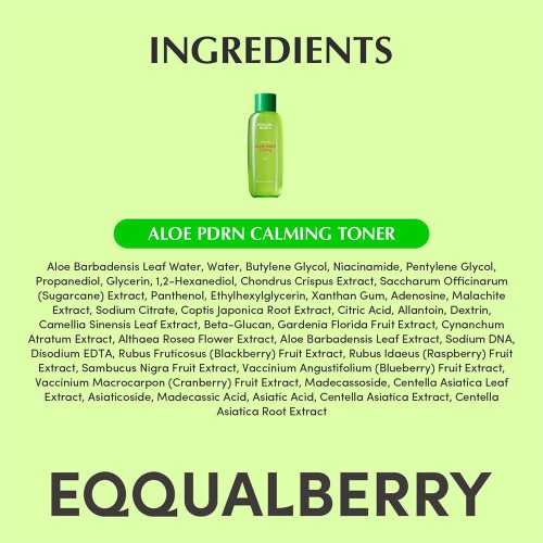 تونر PDRN آلوئه ورا اکوال بری تسکین دهنده و ترمیم کننده پوست EQQUALBERRY Aloe PDRN Calming Toner