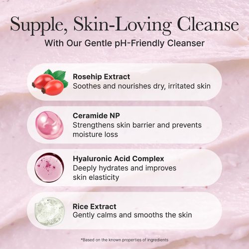 شوینده رزهیپ آرنسیا متعادل کننده PH و تقویت سد دفاعی پوست Arencia Rosehip Mild pH Balancing Rice Cake Cleanser