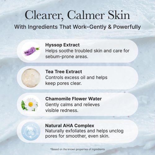 شوینده کنترل چربی و منافذ زوفا آرنسیا Arencia Hyssop Sebum Control Rice Cake Cleanser