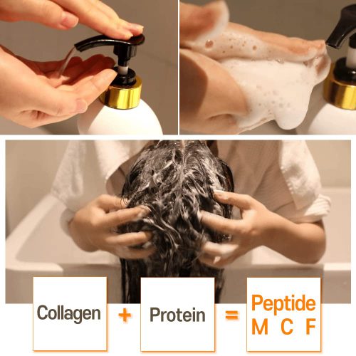 شامپو کلاژن الیزاوکا ترمیم و تقویت مو Elizavecca CER-100 Collagen Coating Hair A+ Muscle Shampoo