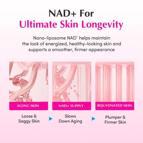 کرم +NAD و پپتاید اکوال بری ضد چروک و جوانساز پوست EQQUALBERRY NAD+ Peptide Boosting Cream