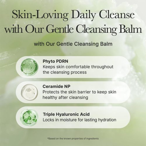 بالم پاک کننده عمقی منافذ و ضد جوش فیتو PDRN آرنسیا ARENCIA Pore Melt Phyto PDRN Cleansing Balm