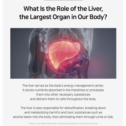 مکمل خوراکی مراقبت از کبد لاکتوفیت LACTO-FIT Liver Care Probiotics