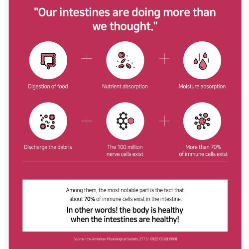 مکمل خوراکی مراقبت از کبد لاکتوفیت LACTO-FIT Liver Care Probiotics