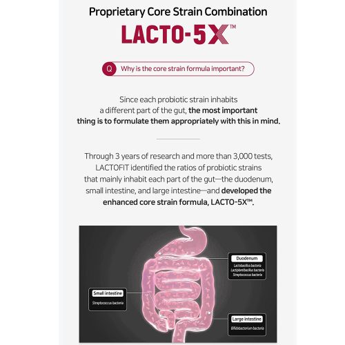 مکمل خوراکی مراقبت از کبد لاکتوفیت LACTO-FIT Liver Care Probiotics