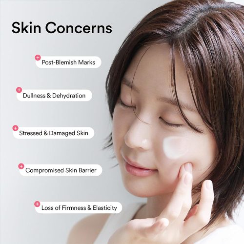 کرم PDRN ابیب آبرسان و ترمیم کننده سد فاعی پوست Abib PDRN Intensive Crème 1.5 Tube