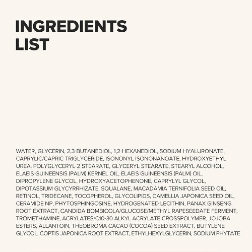 کرم مرطوب کننده رتینول تخمیری جینسینگ و سراماید بیوتی آف جوسان ضد چروک و جوانساز پوست Beauty of Joseon Revive Firming Moisturizer Ginseng Ceramide + Fermented Retinol