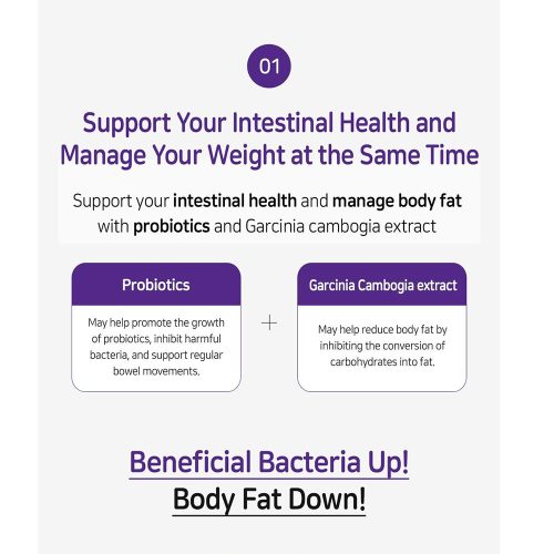 مکمل خوراکی بنفش لاکتوفیت مدل دایت، کنترل وزن و رژیم غذایی LACTO-FIT Probiotics Diet