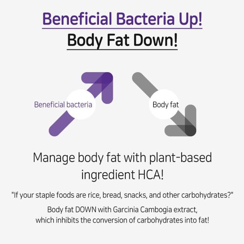 مکمل خوراکی بنفش لاکتوفیت مدل دایت، کنترل وزن و رژیم غذایی LACTO-FIT Probiotics Diet