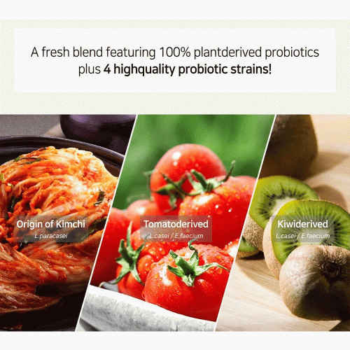 مکمل خوراکی وگان لاکتوفیت LACTO-FIT Vegetable